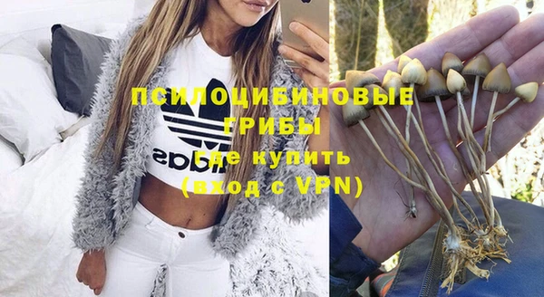 стаф Абдулино
