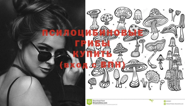 стаф Абдулино
